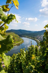 Moselle river at Bremm, Moselle valley, Rhineland-Palatinate, Germany Moselle river at Bremm, Moselle valley, Rhineland-Palatinate, Germany
